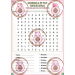 sopa de letras documento 3
