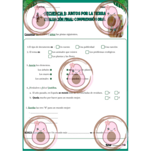 evaluation finale co