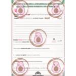 Évaluation forme progressive espagnol – seguir gérondif leçon exercice correction collège – Aguacata