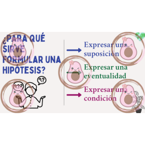 leçon sur l'hypothèse séquence 3 3ème