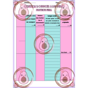 grille note projet final 1 3è
