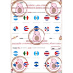 evaluation sur les drapeaux d'amérique latine