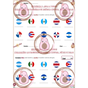 evaluation sur les drapeaux d'amérique latine