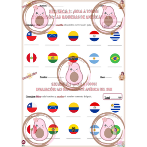 evaluation sur les drapeaux d'amérique latine