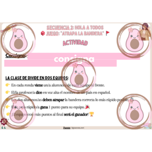 jeux sur les drapeaux d'amérique latine