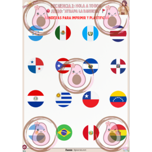 jeux sur les drapeaux d'amérique latine