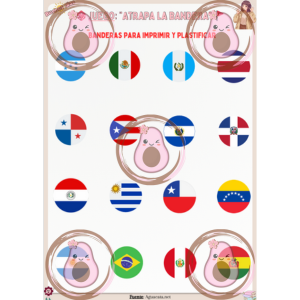 jeux sur les drapeaux d'amérique latine 2